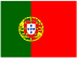 pt flag